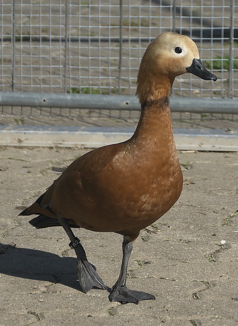 以及她个人