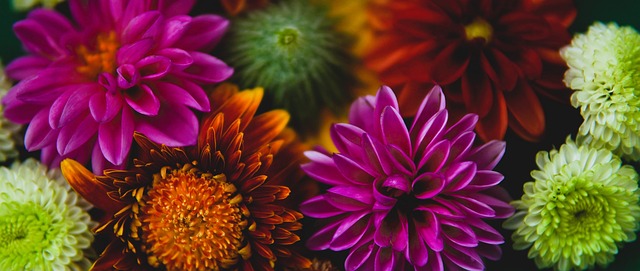 晋级球队通 晋级球队通