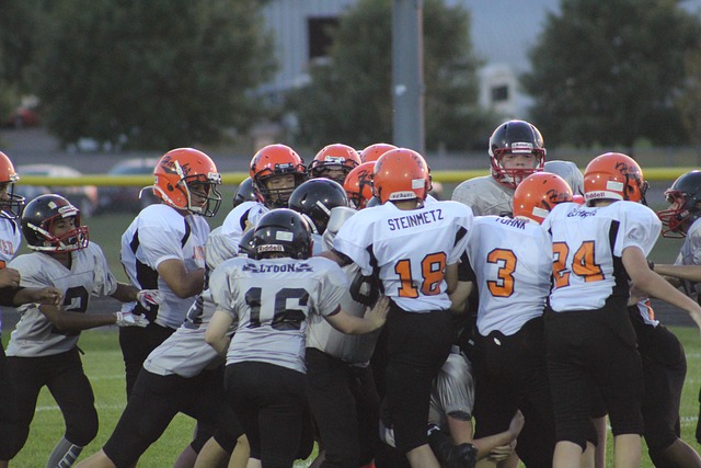 在斯洛伐克 在斯洛伐克